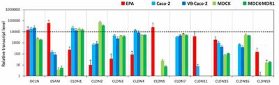 Comparison of a Rat Primary Cell-Based Blood-Brain Barrier Model With Epithelial and Brain Endothelial Cell Lines: Gene Expression and Drug Transport